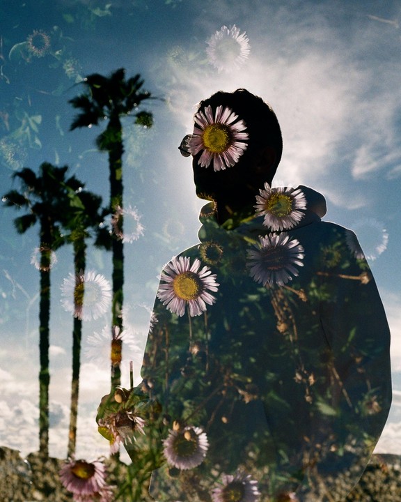 A man in profile is silhouetted against a bright sky with palm trees and overlaid with flowers.