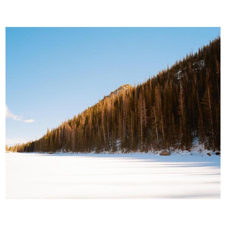 A snow-covered landscape features a dense forest of tall, thin trees on a hillside under a clear blue sky.