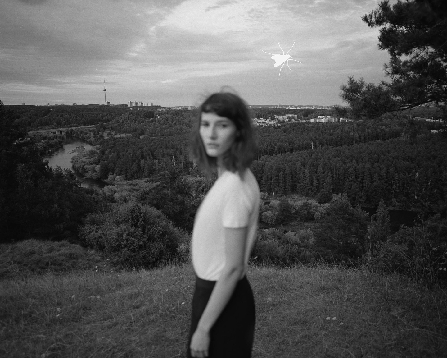 A woman stands on a hill overlooking a forest, river, and distant city, with a large insect shape in the sky.