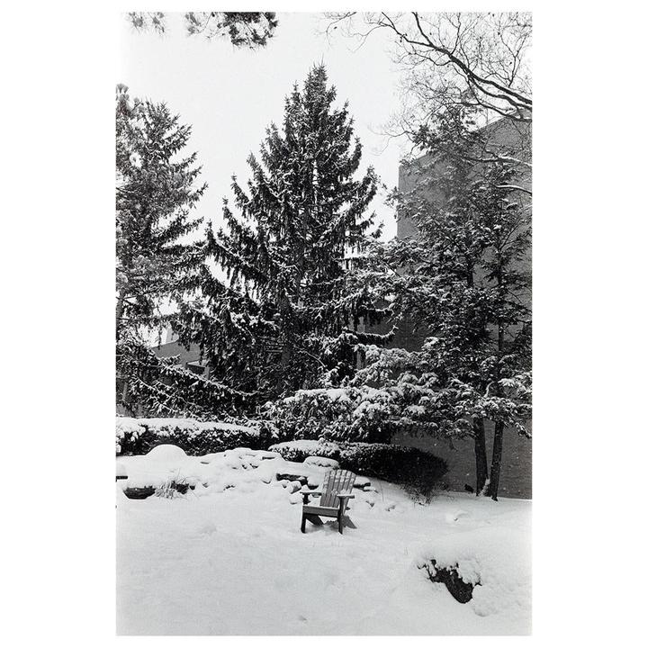 A wooden chair sits in a snow-covered garden surrounded by evergreen trees and bushes.