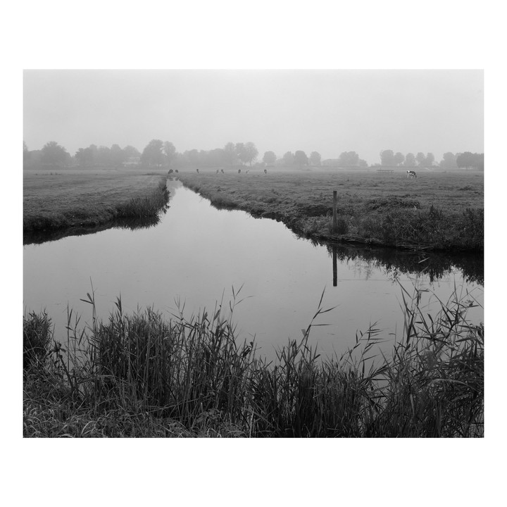 A narrow canal runs through a flat, grassy polder landscape with cows grazing in the distance under a hazy sky.