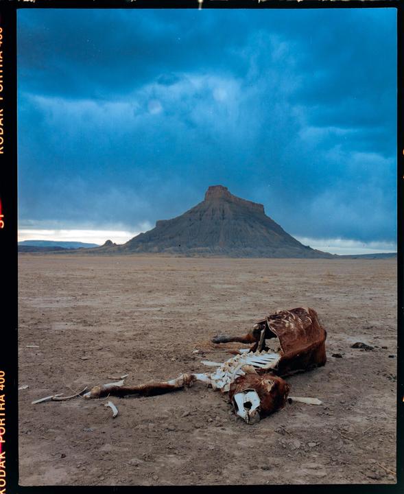 A dead animal lies in a barren landscape with a large mesa under a cloudy sky.