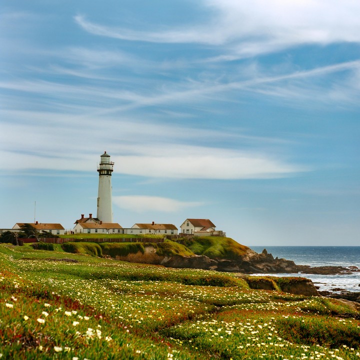 A white lighthouse stands on a grassy cliff overlooking the ocean, surrounded by small white buildings and a field of wildflowers.