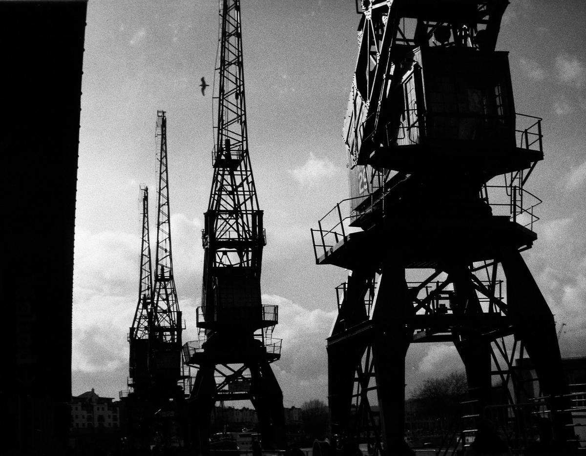 Three large cranes stand silhouetted against a cloudy sky, with a bird flying above them.