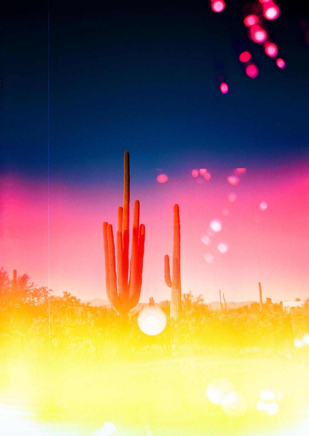 Two saguaro cacti stand tall against a vibrant sky with a bright sun flare at the bottom.