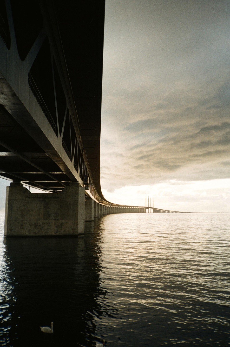 A long bridge stretches over water under a cloudy sky, with a swan swimming in the foreground.