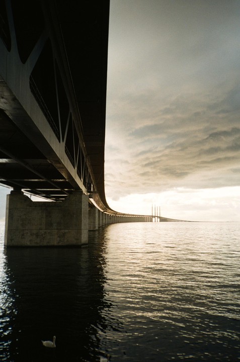 A long bridge stretches over water under a cloudy sky, with a swan swimming in the foreground.