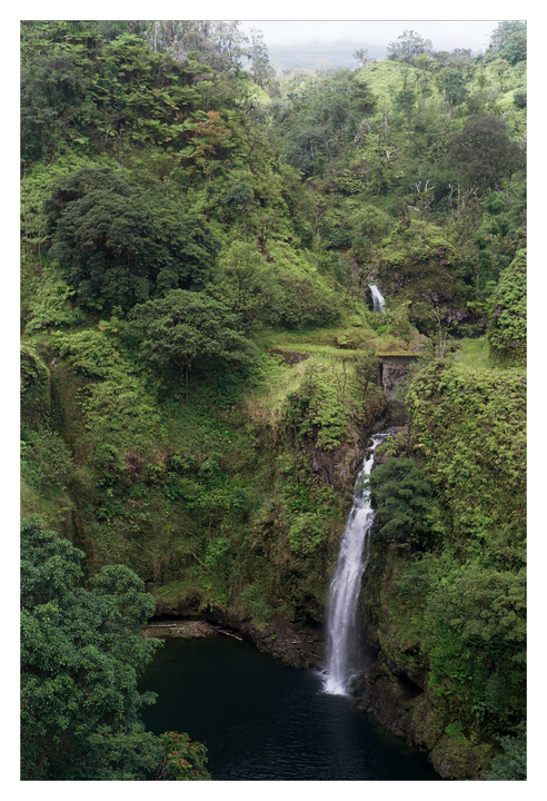 A waterfall cascades into a dark pool surrounded by lush green foliage on a mountainside.