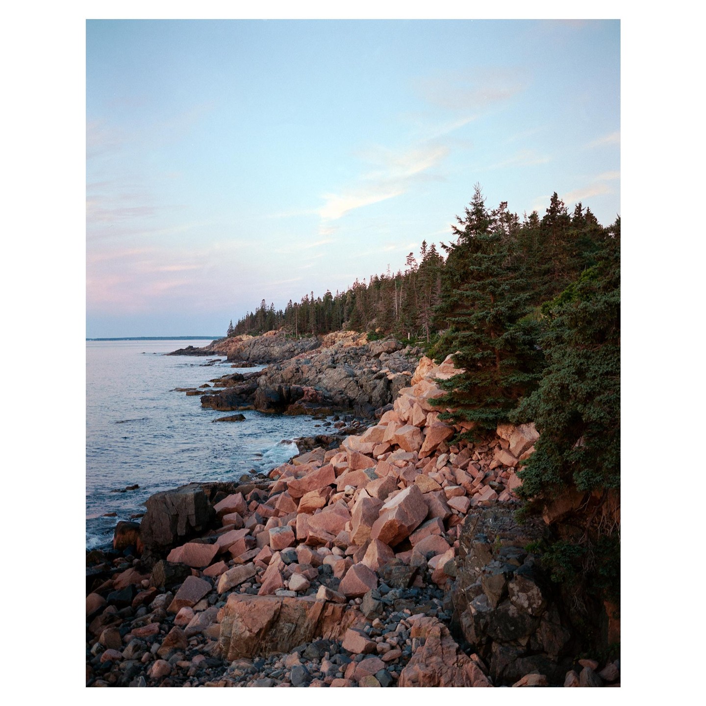 A rocky coastline with pine trees and a calm ocean is visible under a soft, colorful sky.