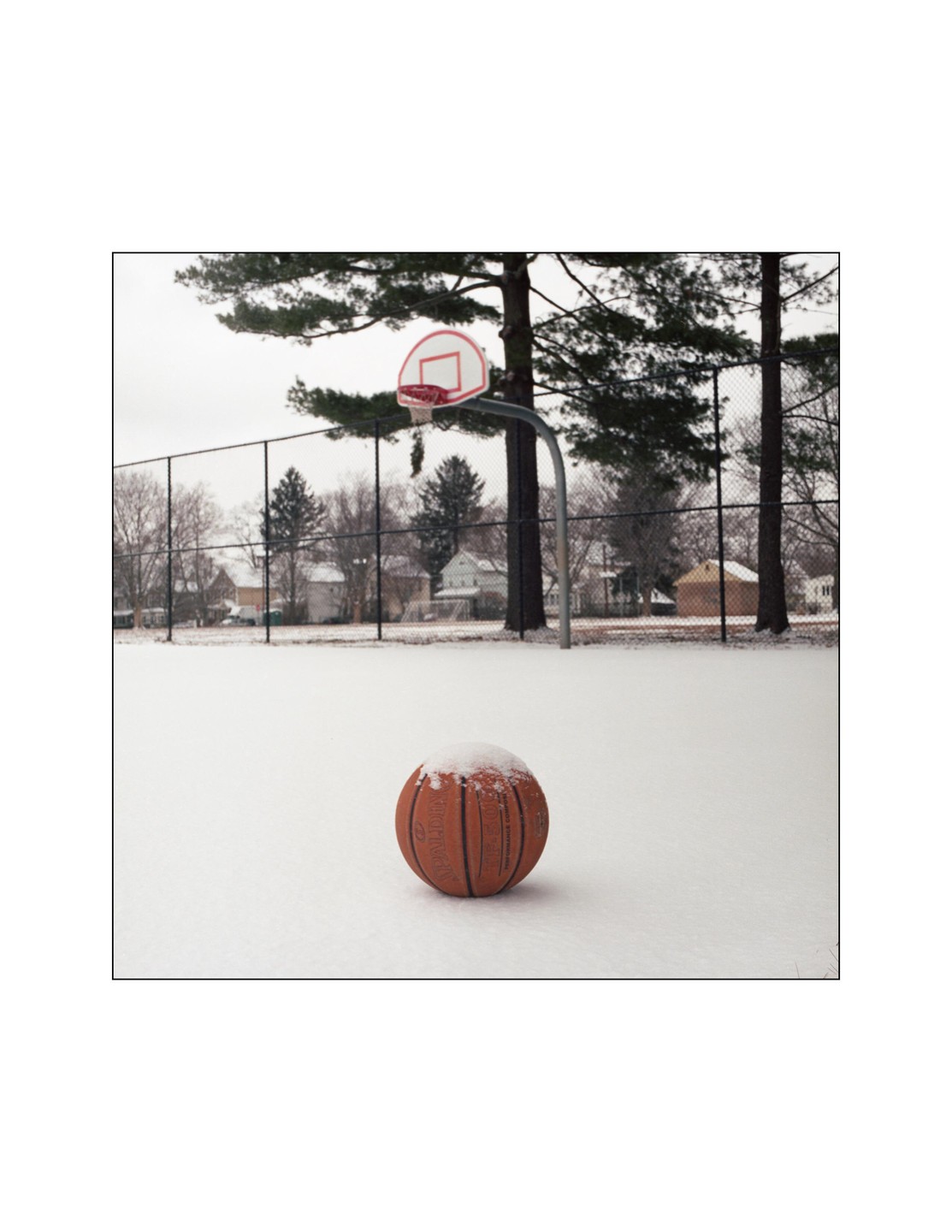 A basketball covered in snow sits on a snow-covered court with a basketball hoop and trees in the background.