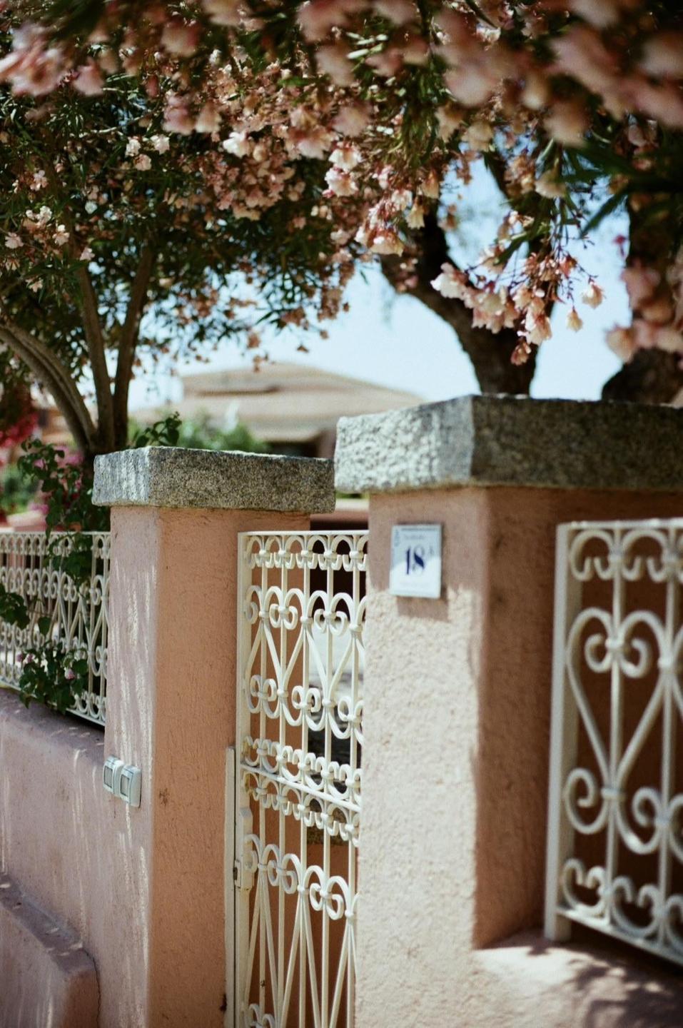 A pink wall with a white ornate gate is partially visible under a tree with pink blossoms.