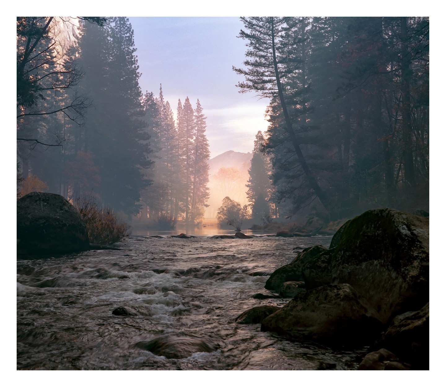 A river flows through a forest with tall pine trees and large boulders on its banks, with a hazy sunrise in the background.