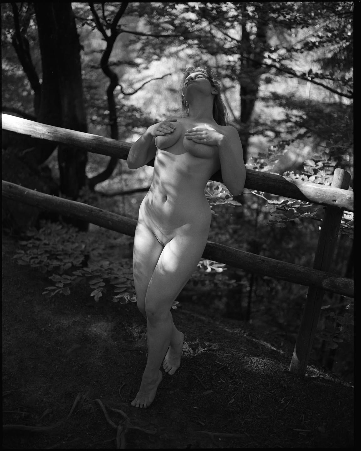 A nude woman stands in a forest with her head tilted back and her hands covering her breasts.