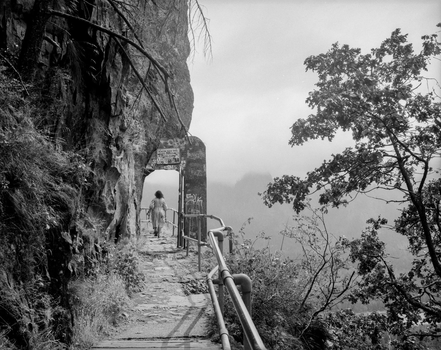 A woman walks along a narrow path next to a cliff face, with a tree and a hazy mountain in the background.