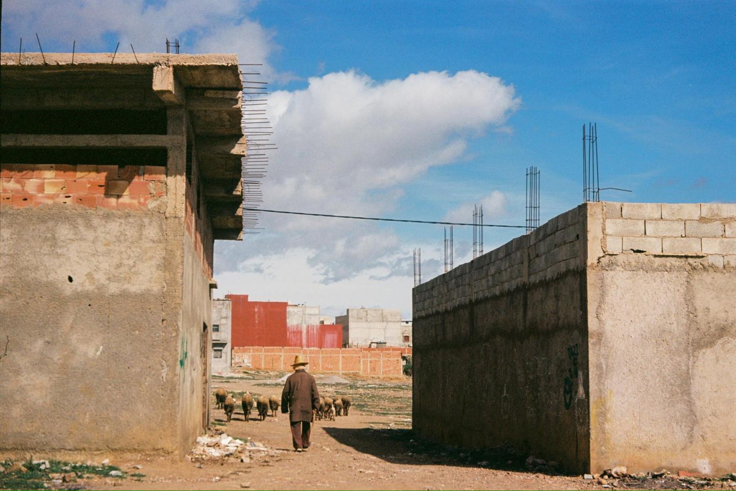 A man in a hat walks with a flock of sheep between two unfinished concrete buildings under a blue sky with clouds.
