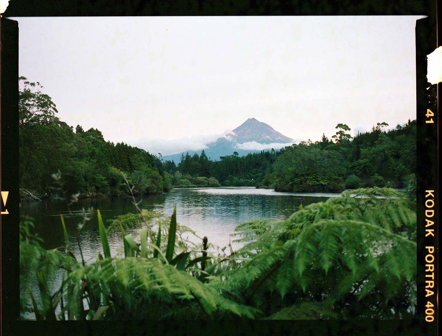 A lake is surrounded by lush green trees with a mountain in the background.