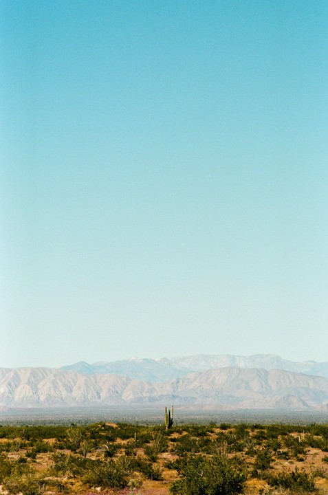 A lone saguaro cactus stands in a desert landscape with mountains in the background under a clear blue sky.