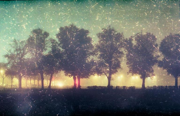 A row of trees stands silhouetted against a hazy, glowing background with visible light sources and many small scratches and dust.