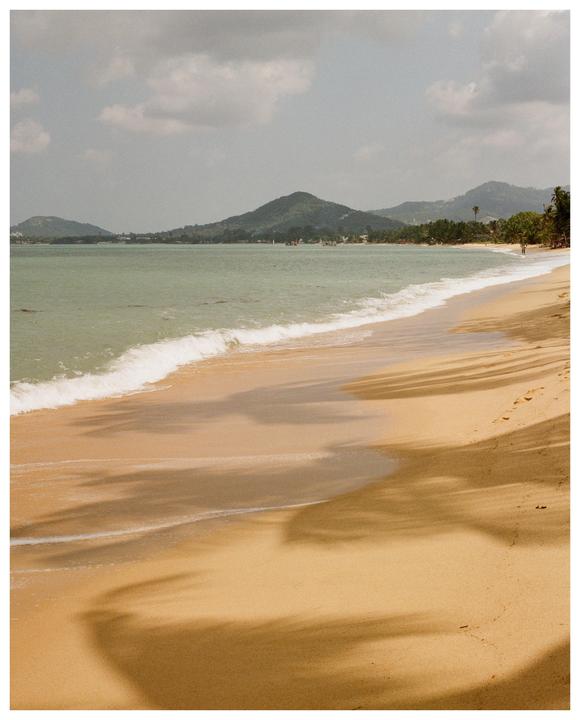 Waves break on a sandy beach with palm tree shadows and mountains in the background.