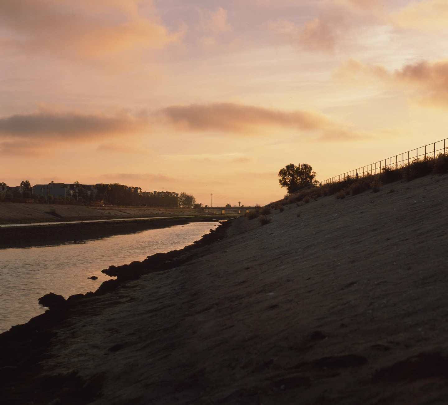 A river flows next to a sandy bank with a fence and a tree under a sunset sky.