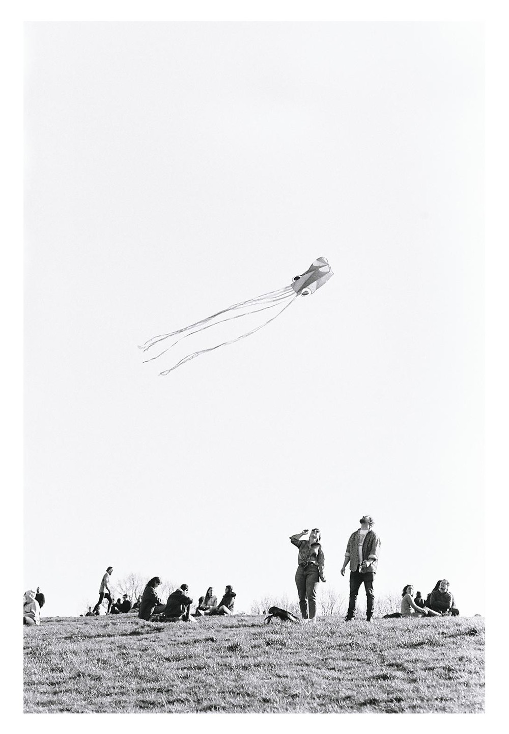 A kite flies high above a grassy hill where people are gathered, some sitting and some standing.