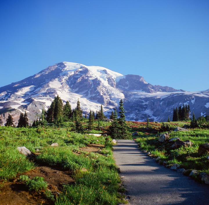 A paved path leads through a grassy field towards a snow-capped mountain under a clear blue sky.