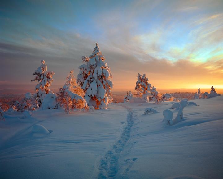 A snowy landscape with evergreen trees covered in snow and a path leading through the snow towards a colorful sunset.