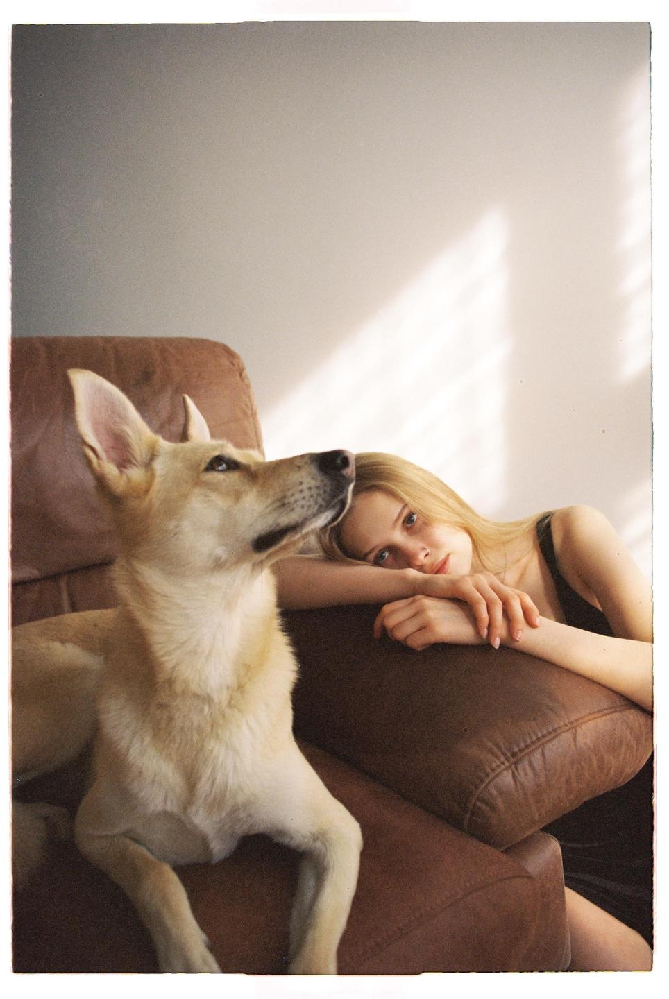 A woman and a dog are sitting on a brown leather couch with sunlight casting shadows on the wall.
