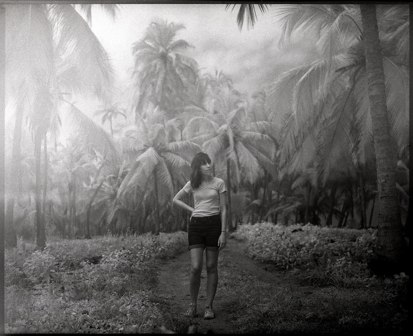 A woman stands on a path surrounded by palm trees and lush vegetation.