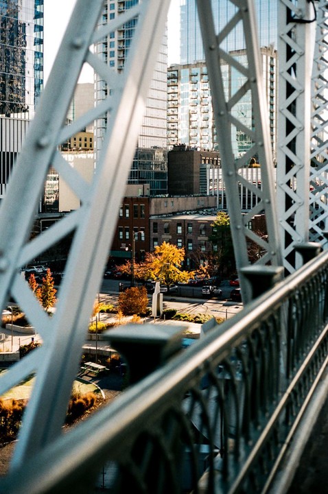 A city street with autumn trees and modern buildings is viewed through the metal structure of a bridge.