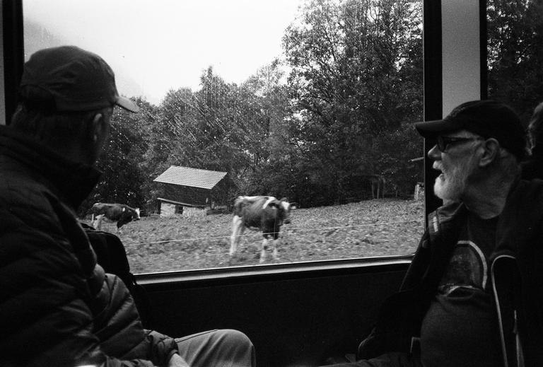 Two men look out a window at cows grazing in a field with a small barn.