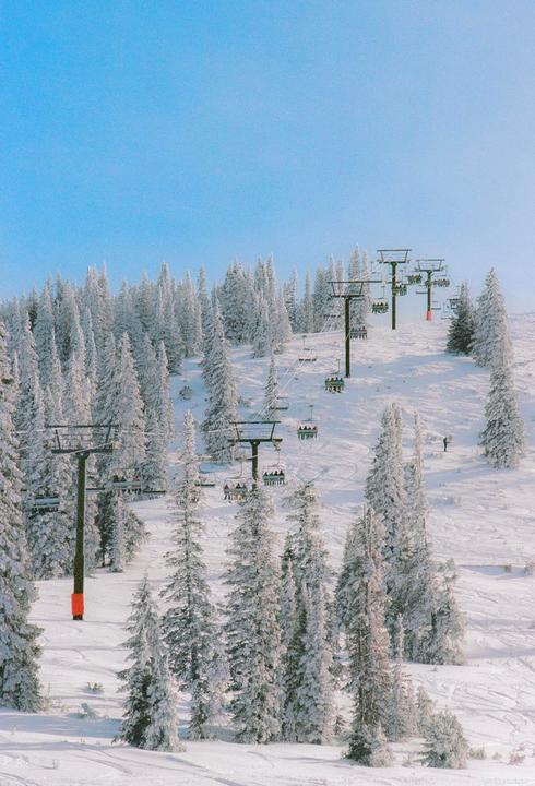 A snowy mountain landscape features several ski lifts carrying people up a slope lined with snow-covered evergreen trees.