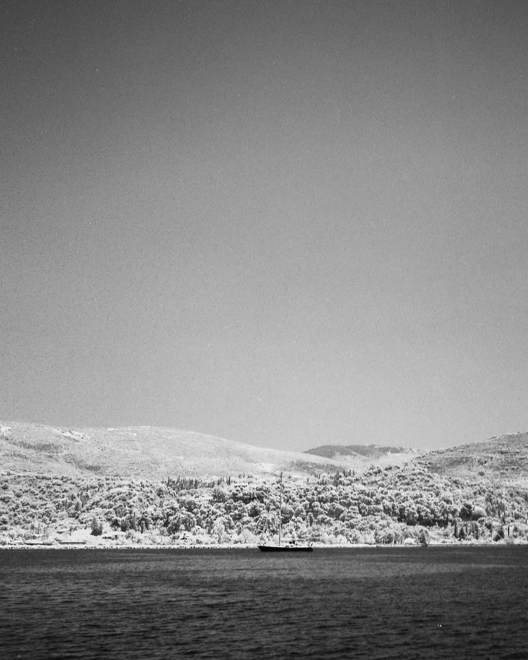 A sailboat floats on the water in front of a hilly landscape with trees.
