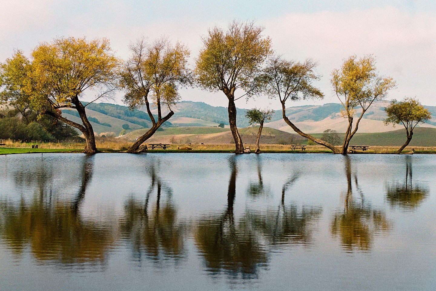 Trees with autumn foliage line the edge of a body of water, reflecting in its surface, with rolling hills in the background.