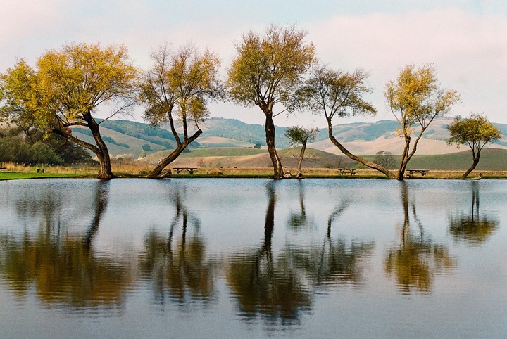 Trees with autumn foliage line the edge of a body of water, reflecting in its surface, with rolling hills in the background.