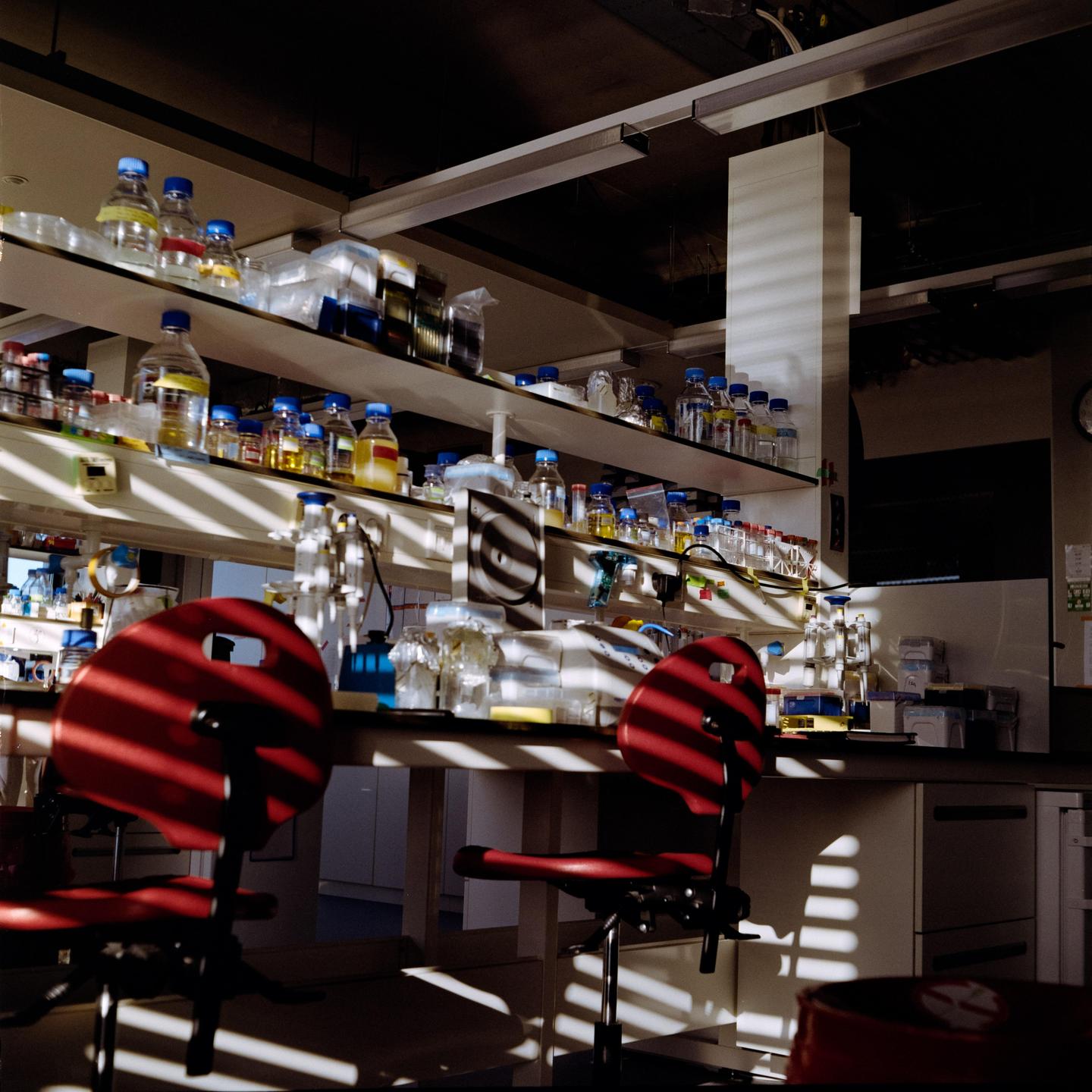 Sunlight streams through blinds into a laboratory, illuminating shelves filled with bottles and two red chairs.