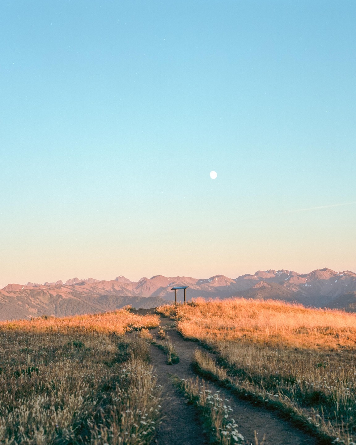 A dirt path leads through a field of tall grass towards mountains under a sky with a visible moon.
