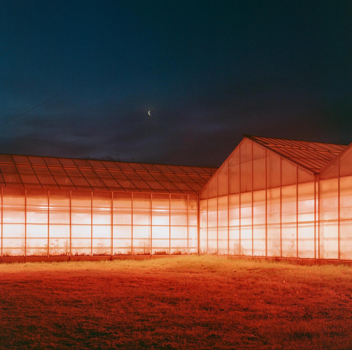 A crescent moon hangs in the dark sky above a greenhouse with glowing orange light and a field of red grass.