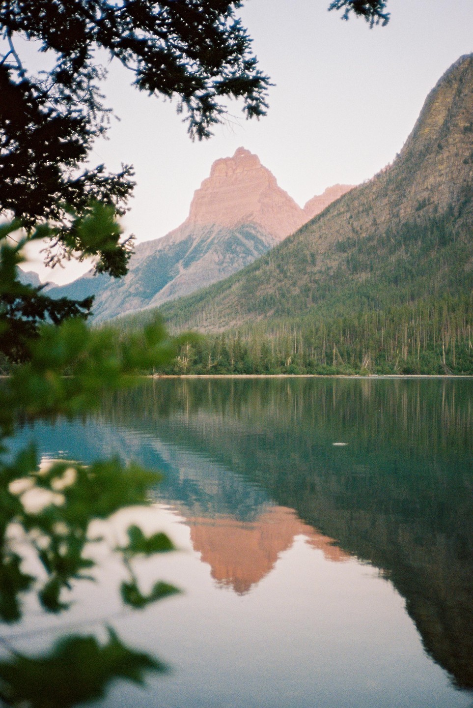 A mountain peak with a forest at its base is reflected in a lake, with tree branches in the foreground.