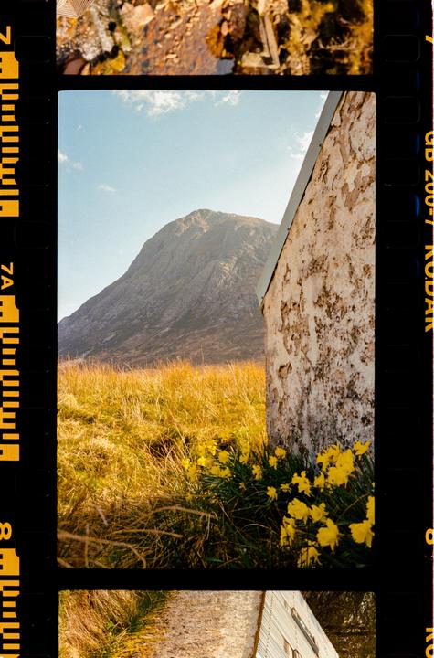 A stone building stands in a field of tall grass and yellow flowers with a large mountain in the background.