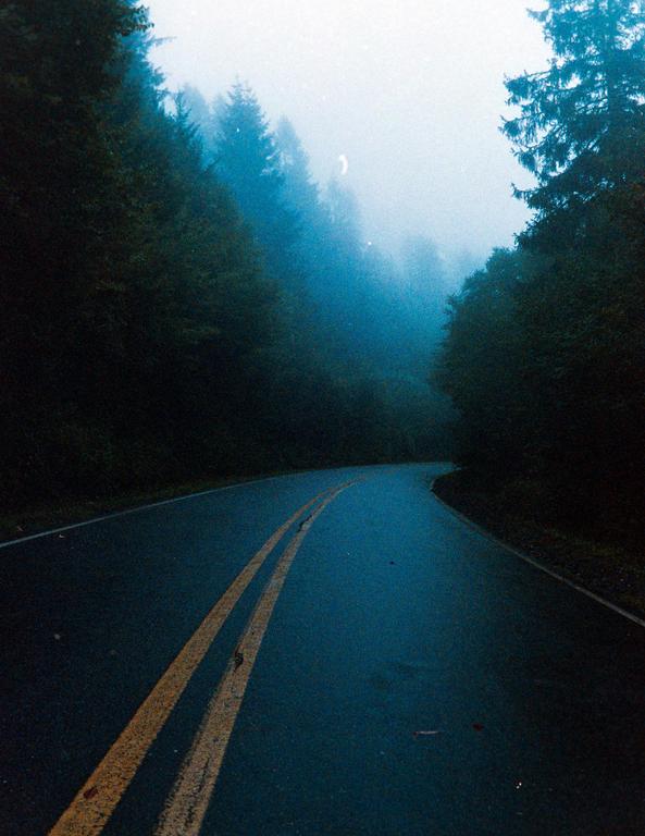 A winding road with double yellow lines curves through a forest shrouded in fog.