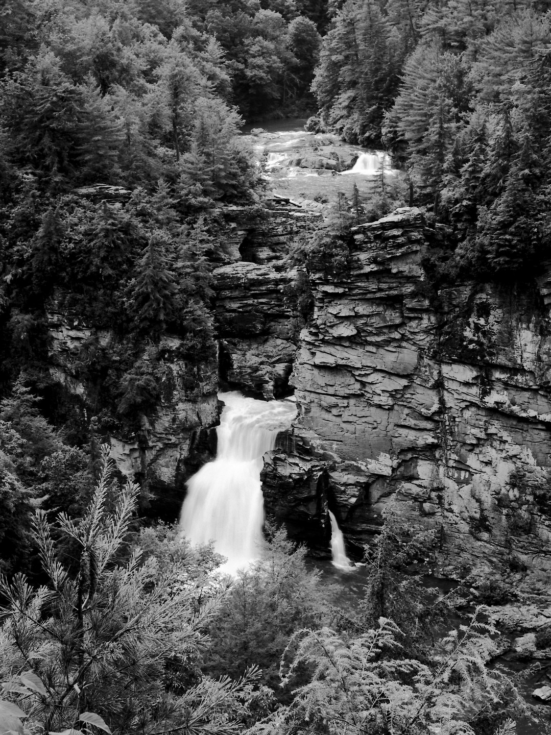A long exposure black and white photograph captures a waterfall cascading between rocky cliffs and surrounded by dense forest.