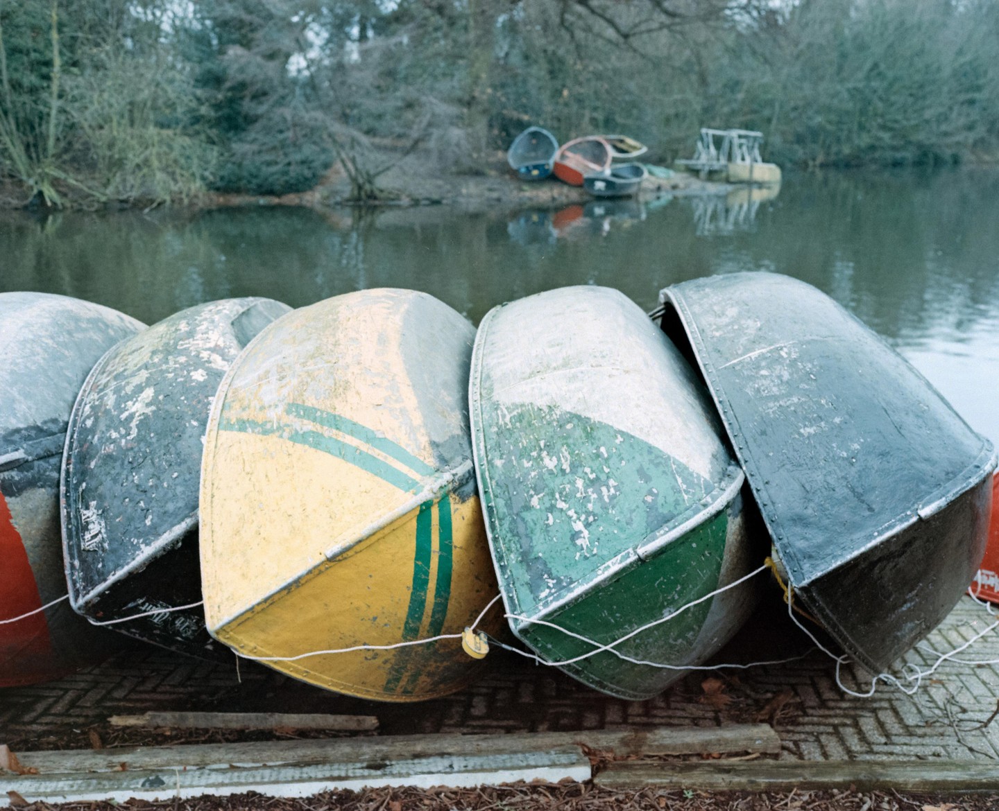 Several colorful rowboats are stored upside down on a dock next to a body of water with trees on the far bank.