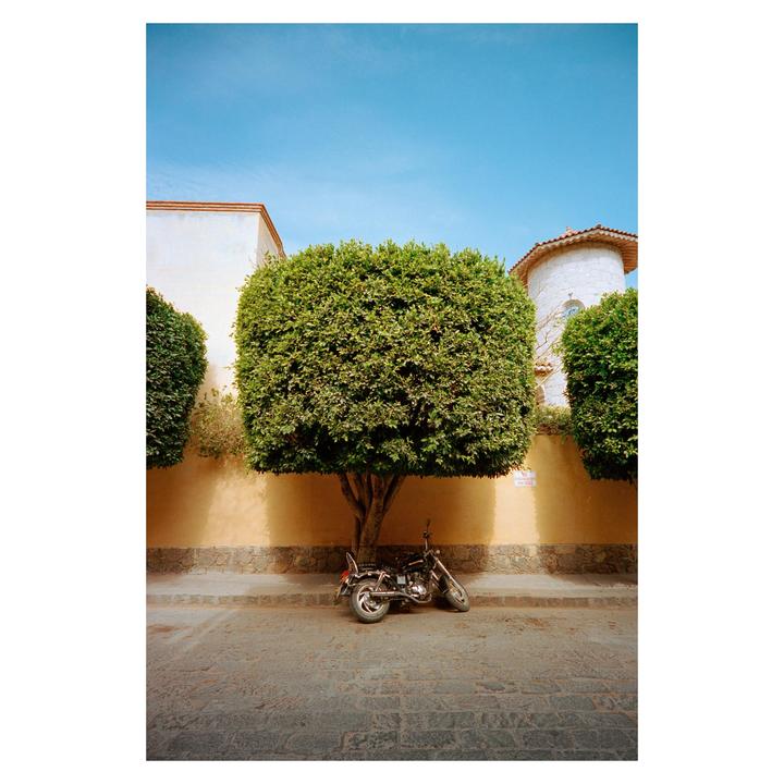 A motorcycle is parked under a large, square-shaped tree next to a yellow wall and a cobblestone street.