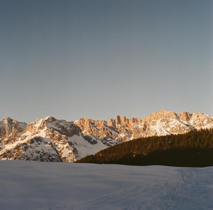 A snow-covered field sits in front of a dark forest and sunlit, snow-capped mountains under a clear sky.