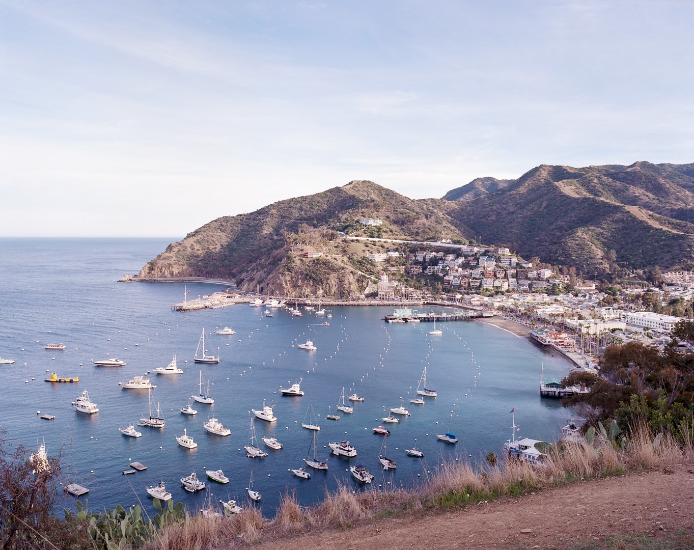 Many boats are moored in a harbor next to a town built into a hillside.