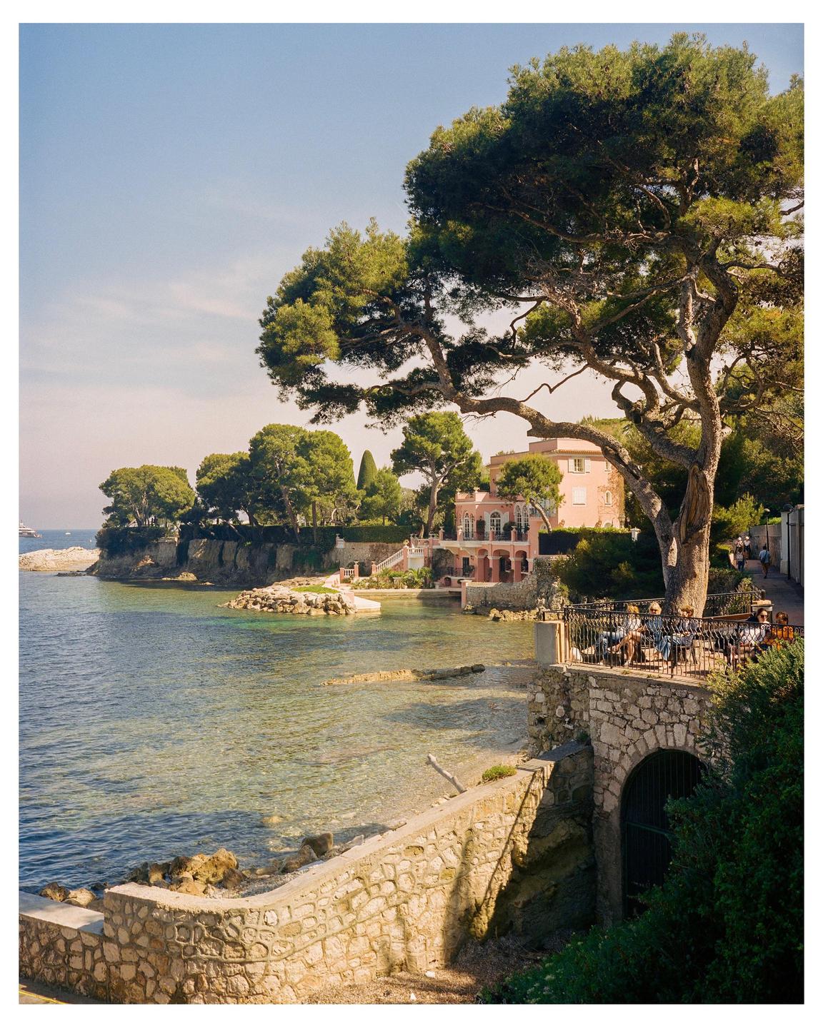 A large tree frames a pink building and a bay with clear water, with people sitting at an outdoor cafe.