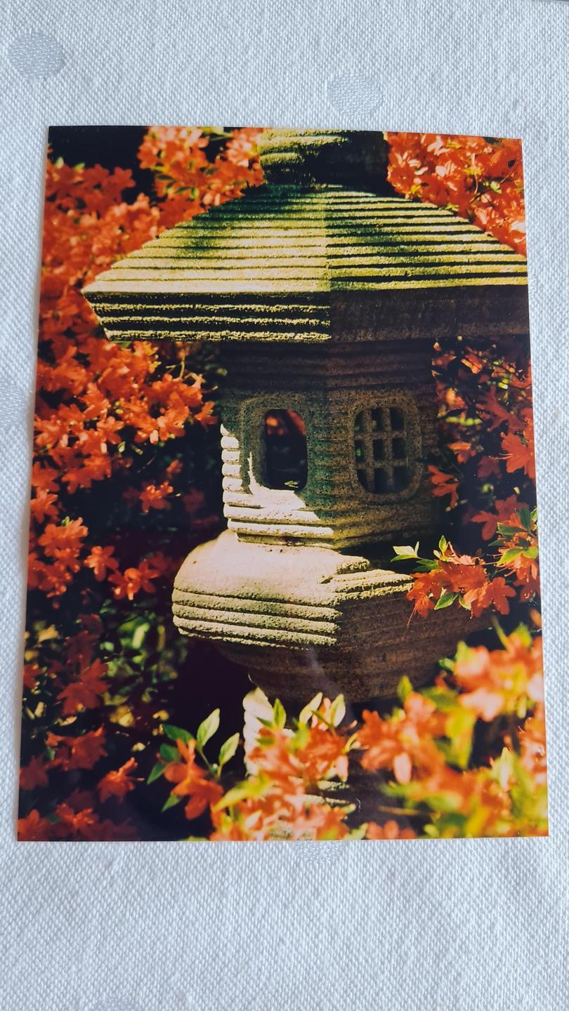 A stone lantern is surrounded by vibrant orange foliage.