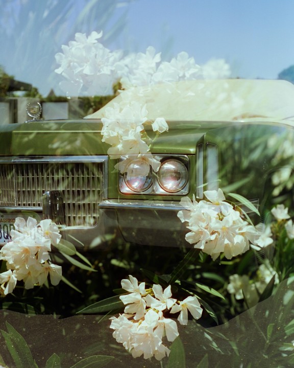 A green car is adorned with white flowers, with a reflection of foliage and sky on its surface.