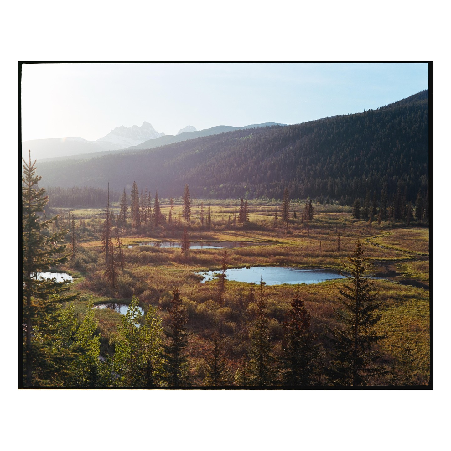 A vast landscape features a valley with small ponds and evergreen trees, with mountains in the distance under a hazy sky.